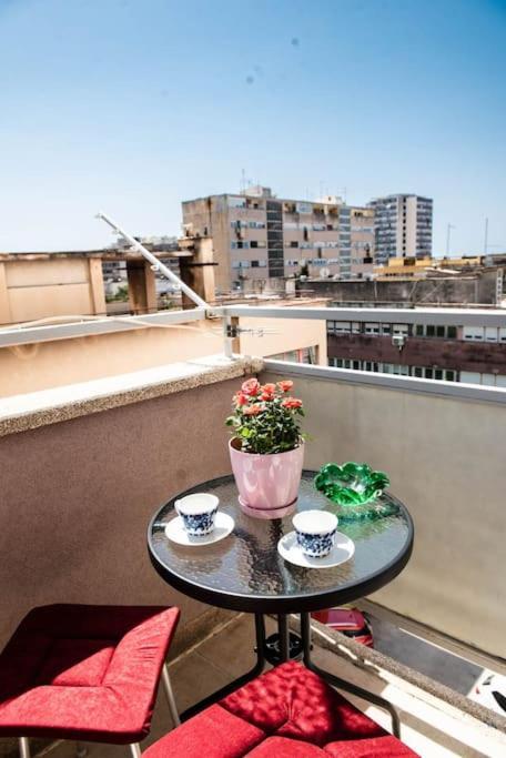 Pearl Of Sibenik Apartment Dış mekan fotoğraf
